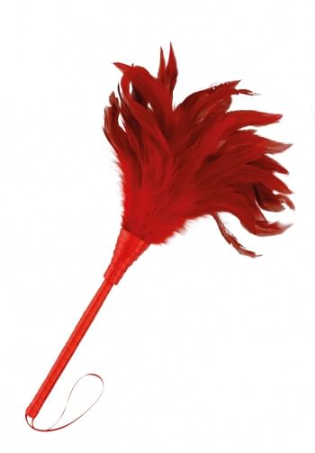 Pluma estimuladora roja 24 cm